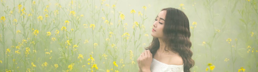蜘蛛池及其工作原理详解为何成为SEO优化关键利器